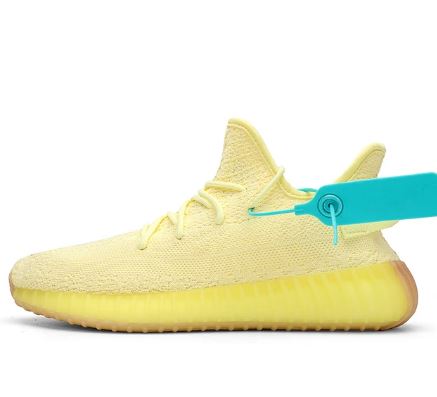 Adidas YEEZY BOOST 350 G5